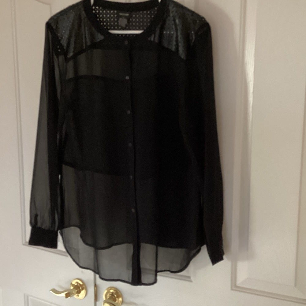 Focus 2000 Elegant Black Sheer Top